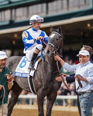 Image post by @spendthriftfarm on Instagram