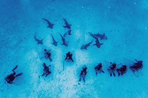 Image post by @hiltonhotels on Instagram
