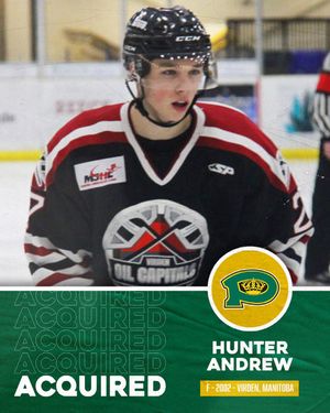 Image post by @bchlkings on Instagram