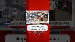 Video post by @msnbc on YouTube