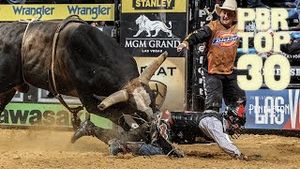 Video post by @pbr on YouTube