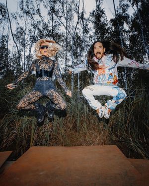 Image post by @steveaoki on Instagram