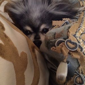 Image post by @vanessabryant on Instagram
