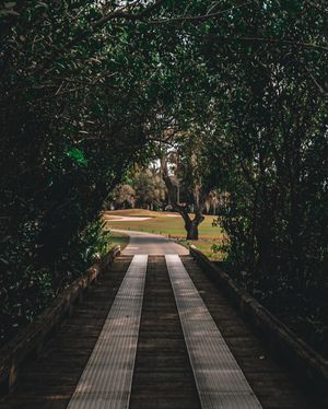 Image post by @fifth_edition_photos on Instagram