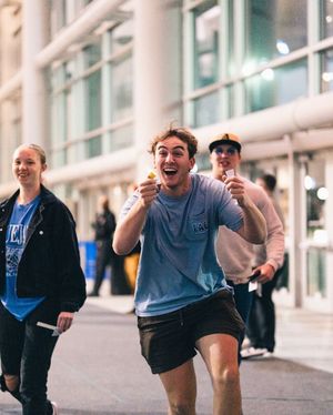 Image post by @birdcagerewards on Instagram