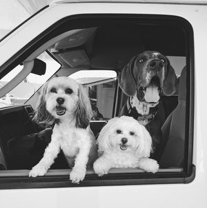 Image post by @vsco on Instagram