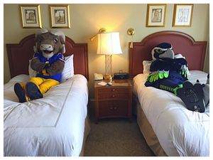 Image post by @blitztheseahawk on Instagram