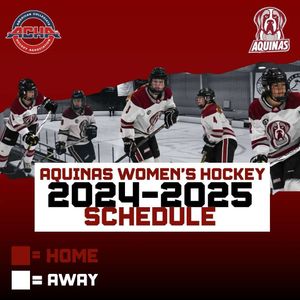 Image post by @aqwomenshockey on Instagram