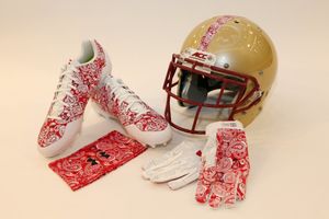Image post by @bceagles on Instagram