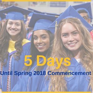 Image post by @hofstrau on Instagram