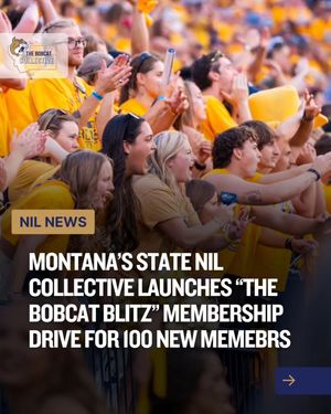 Image post by @thebobcatcollective on Instagram