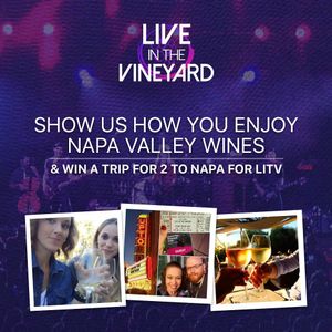 Image post by @liveinthevineyard on Instagram
