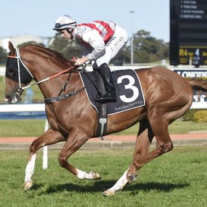 Image post by @australianturfclub on Instagram