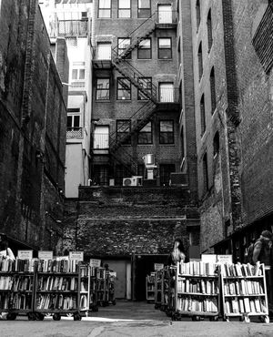 Image post by @caramooneyphoto on Instagram