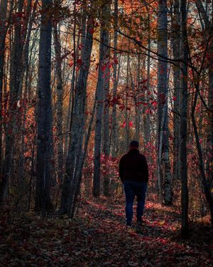 Image post by @karenmcclain_photo on Instagram