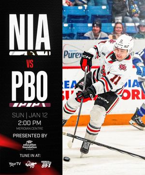 Image post by @ohlicedogs on Instagram