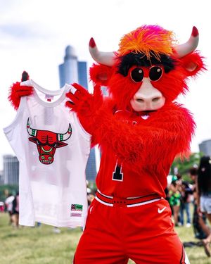 Image post by @chicagobulls on Instagram