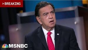 Video post by @msnbc on YouTube