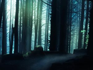 Image post by @JustinPotterPhotography on Facebook