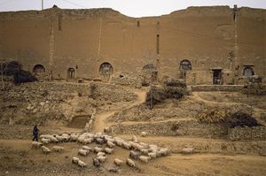 Image post by @natgeo on Instagram