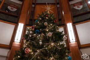 Image post by @gaylordcollege on Instagram
