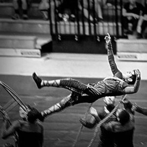 Image post by @thebluedevils on Instagram