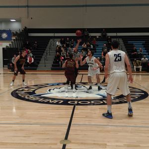 Image post by @nutimberwolves on Instagram