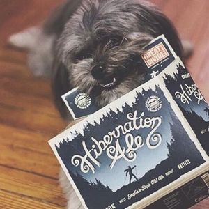 Image post by @greatdividebrew on Instagram