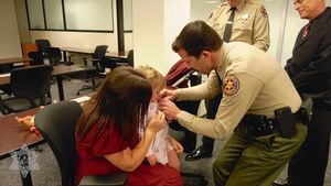 Image post by @reel_jamie on Instagram