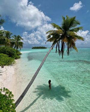 Image post by @comohotels on Instagram
