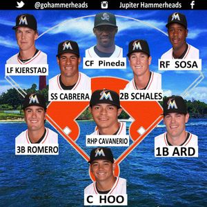 Image post by @gohammerheads on Instagram