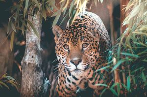 Image post by @iamdrewferguson on Instagram