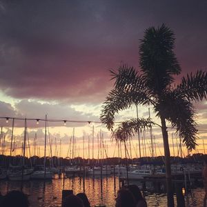 Image post by @roephoto on Instagram