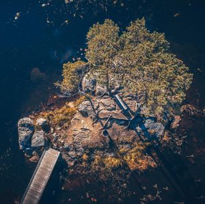 Image post by @moment on Instagram