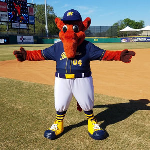 Image post by @biscuitbaseball on Instagram