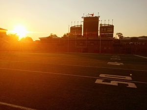 Image post by @marylandterrapins on Instagram