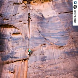 Image post by @reddigitalcinema on Instagram