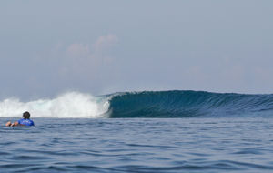 Image post by @wsl.qs on Instagram