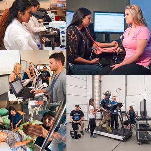 Image post by @ontariotechu on Instagram