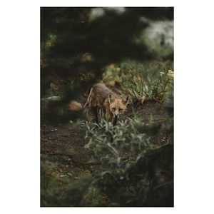Image post by @_myers_photography_ on Instagram