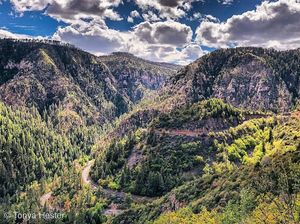Image post by @nauflagstaff on Instagram