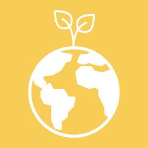 Image post by @composednyc on Instagram