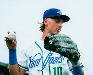 Image post by @hartfordyardgoats on Instagram