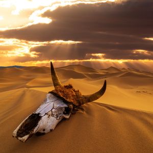 Image post by @discovery on Instagram