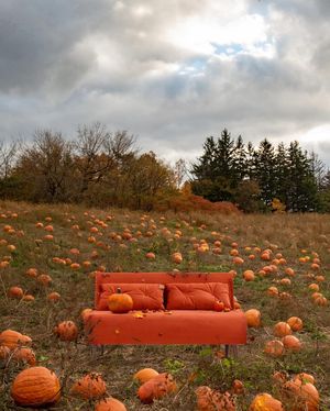 Image post by @madedotcom on Instagram