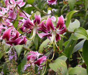 Image post by @alybaylissphotography on Instagram