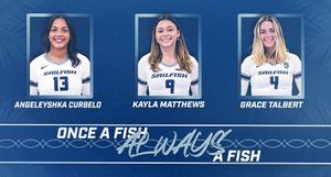 Image post by @pbavolleyball on Instagram