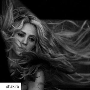 Image post by @bmi on Instagram