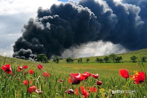 Image post by @gettyimages on Instagram