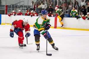 Image post by @esehockey on Instagram